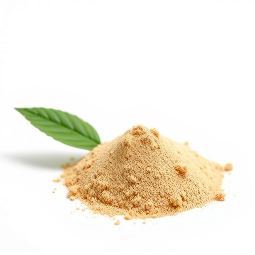 Phyllanthus Amarus Extract - Standardized to 3% Bitter principles - Part = leaf