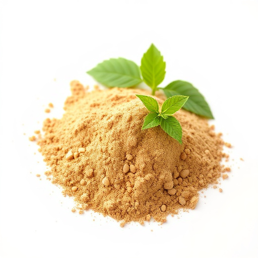 Organic Amla Fruit Powder