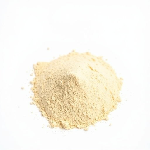 Lion's Mane (fruiting body) powder